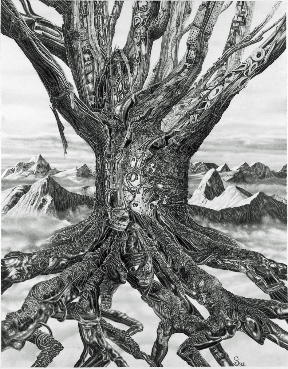 TREE, original graphite drawing, 10.5"wide by 13.5" high