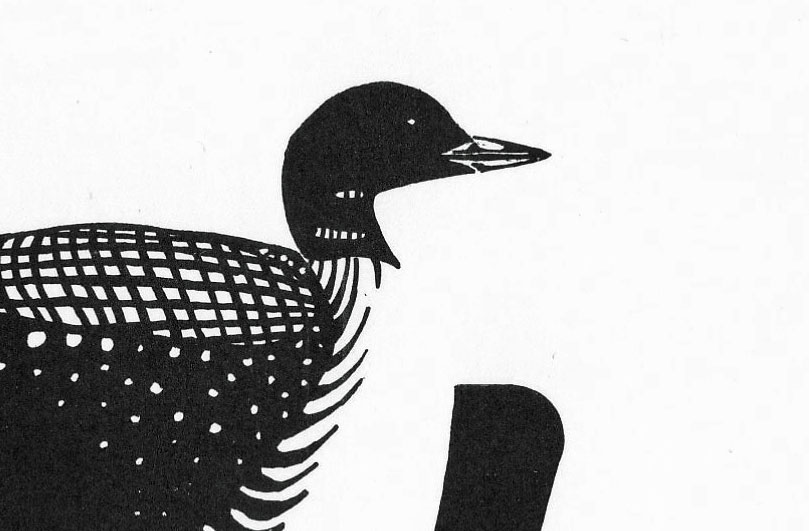 POLARITY, pen & ink drawing detail of loon head