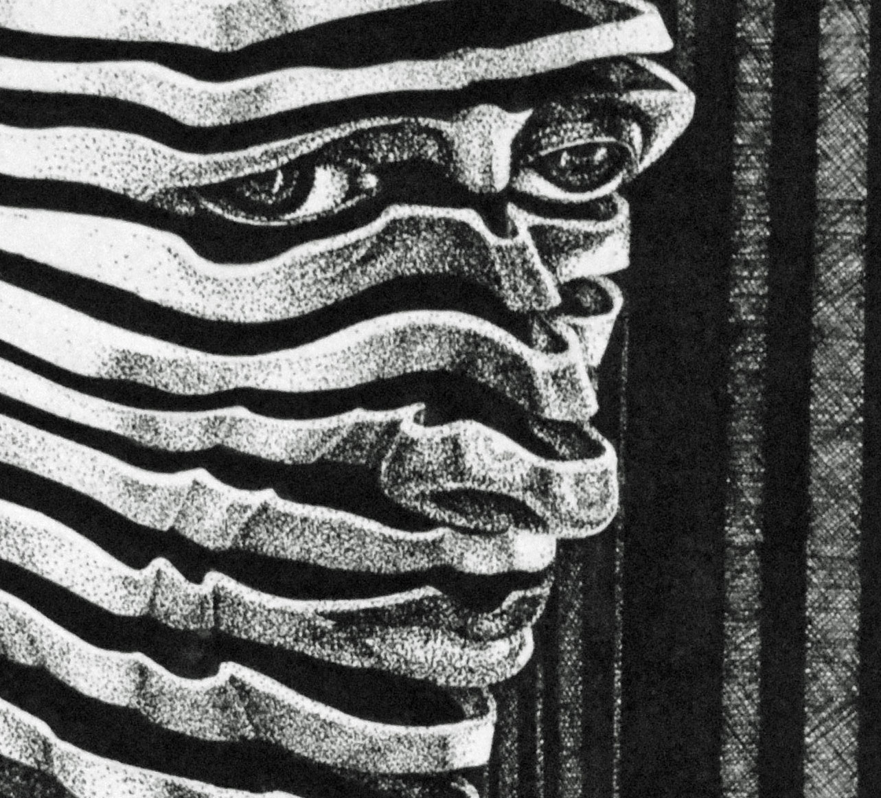 DIVIDED SELF, portrays a man made of horizontal strips of fabric