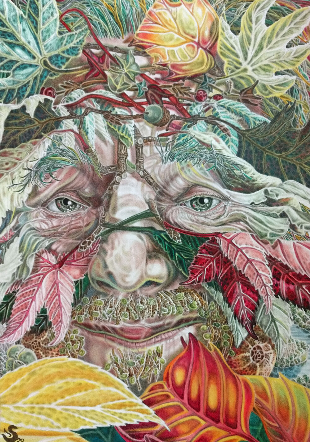 THE GREEN MAN looks out from his woodland of leaves, vines and berries that have enmeshed him